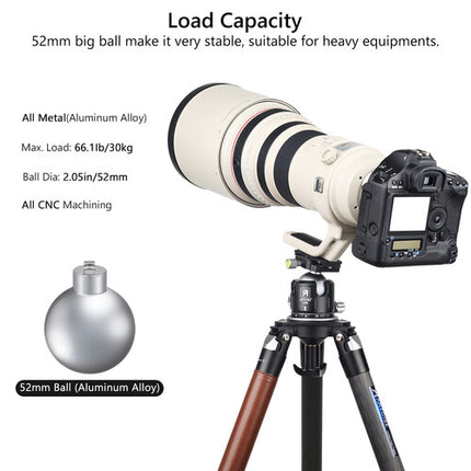 ARTCISE LB52 Cabezal de Bola Bajo Perfil Capacidad 30kg Diámetro 2 Pulgadas