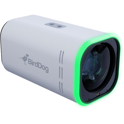 BirdDog MAKI Ultra Cámara Box Zoom 12x UHD 4K60 Blanco PoE