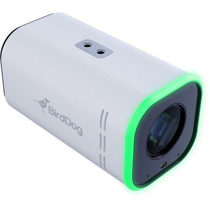 BirdDog MAKI Ultra 4K Cámara Box 20x Zoom UHD 4K60 PoE Support