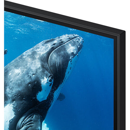 Samsung DU9000 98" TV LED 4K UHD 3840x2160 HDR10+ 60 Hz Control SolarCell