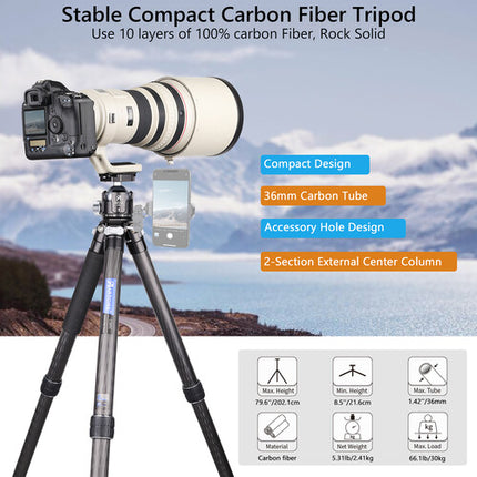 ARTCISE CS85C Trípode de Fibra de Carbono 79.6" Alta Carga 66.1 lb con Cabezal Bola LB52