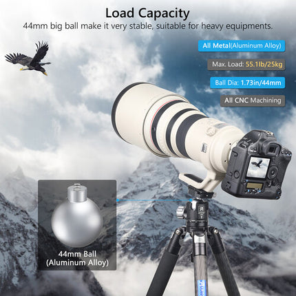 ARTCISE LB44 Cabeza de Bola de Perfil Bajo Capacidad 55 lb Altura 3.5" con Estuche