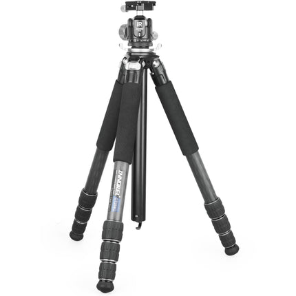 INNOREL GT284C Trípode de Carbono para Viaje Soporta 20kg Altura 167cm con Cabezal N36