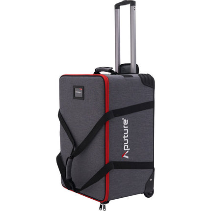 Aputure LS 600c Pro II Foco LED RGB 91500 Lux 2300-10000K con Reflector y Estuche Rodante