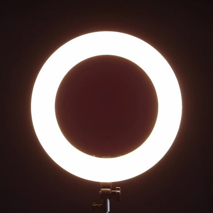 Angler Bi-Color LED Ring Light 18 Pulgadas Luz Regulable 3200-5600K con Soporte para Smartphone