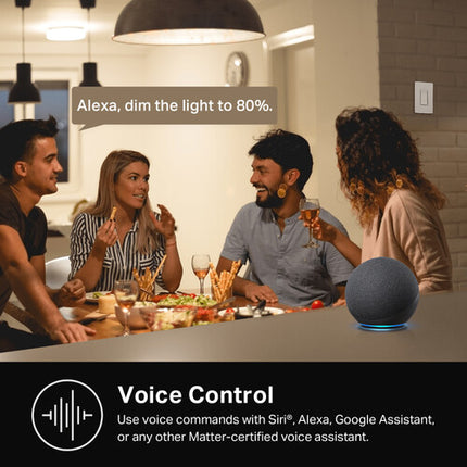 TP-Link HS220 Interruptor Inteligente Wi-Fi con Regulador 2.4 GHz Wi-Fi Color Almendra