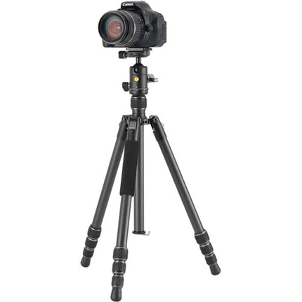 Vanguard Vesta GO 234CB Trípode de Fibra de Carbono 3 Secciones con Rótula VEO BH-50 y Bolsa