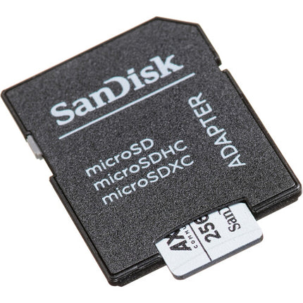 Axis Communications Tarjeta microSDXC para Vigilancia 256GB UHS-I V30 con Adaptador SD
