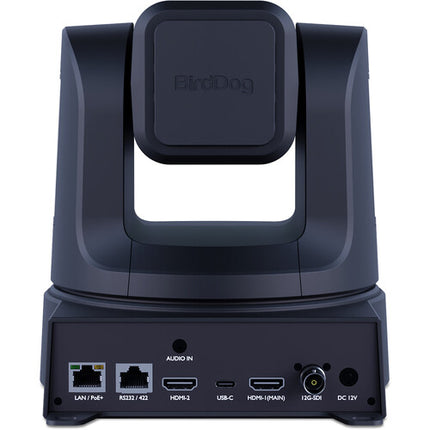 BirdDog 3 X5 Ultra cámaras PTZ 20x zoom óptico control PTZ integrad
