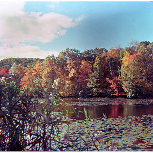 Film Photography Project Película Color Negativo ISO 100 para Cámaras Brownie