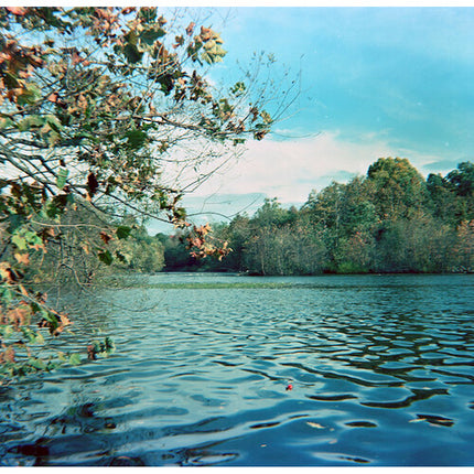 Film Photography Project Película Color Negativo ISO 100 para Cámaras Brownie