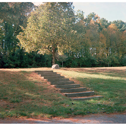 Film Photography Project Película Color Negativo ISO 100 para Cámaras Brownie