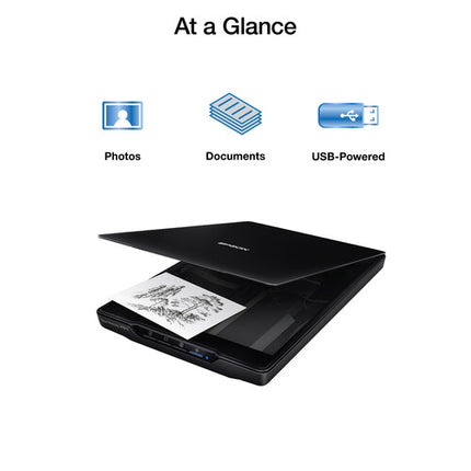 Epson Perfection V19 II Escáner Plano Color 4800 dpi USB portátil