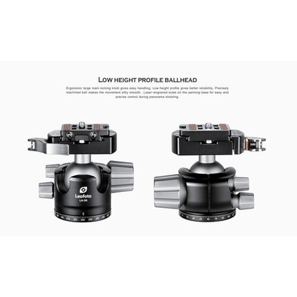 Leofoto LS-284C X Ranger Trípode Fibra de Carbono 67.8" 22 lb con Cabezal Bola LH-36LR