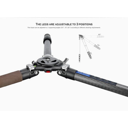 Leofoto LN-364C Trípode Fibra de Carbono 77 lb 64.4" con Base Niveladora YB-75LK