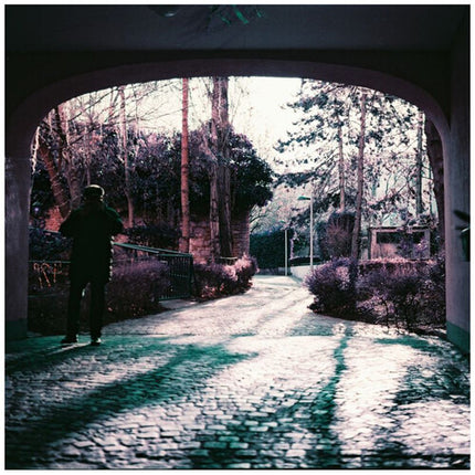 Lomography LomoChrome Purple Película Color Negativo 120 ISO 100-400 Alta Nitidez