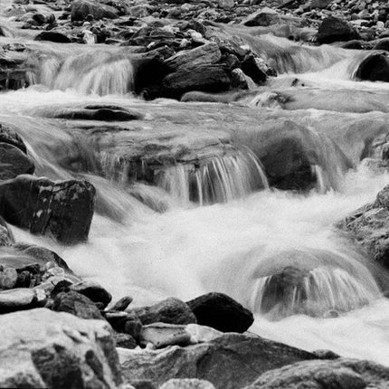 Lomography Lady Grey 400 película negativa blanco y negro ISO 400 120 formato 3 unidades