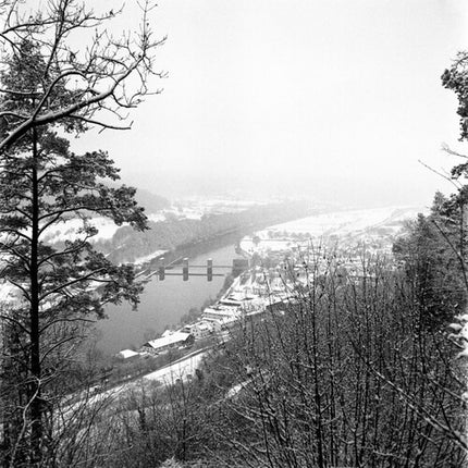 Lomography Lady Grey 400 película negativa blanco y negro ISO 400 120 formato 3 unidades