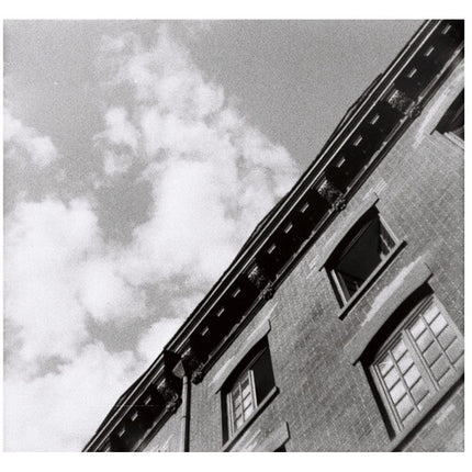 Lomography Orca Film Negativo Blanco y Negro ISO 100 24 Exposiciones