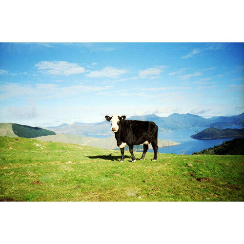 Lomography 100 Película negativa color 35mm 36 exposiciones ISO 100 3 unidades