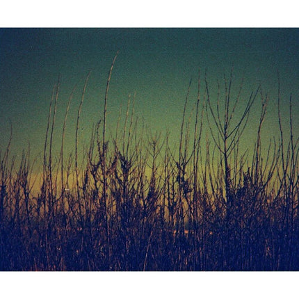 Lomography Lobster Película Color Negativa 110 ISO 200 24 exposiciones
