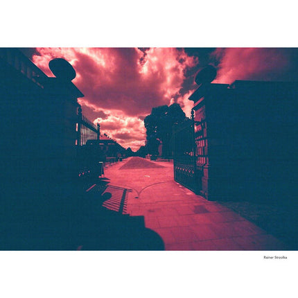 KONO ROTWILD No 2 Película negativa color 35mm ISO 100-400 36 exposiciones