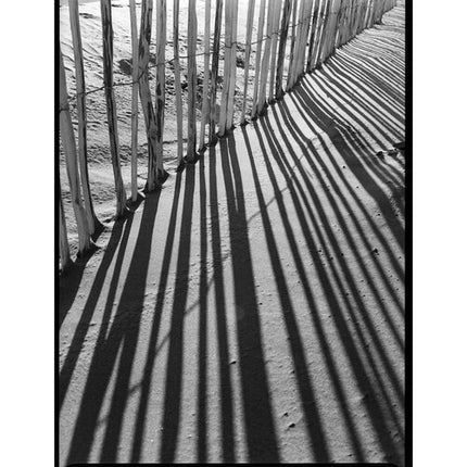 Kodak Tri-X 400 Kit de película blanco y negro 120 rollos 5 unidades con papel Ilford 8x10 y fundas para negativos