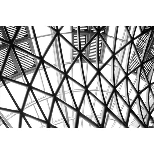 Rollei RPX 400 Película negativa blanco y negro 120 ISO 400 grano fino