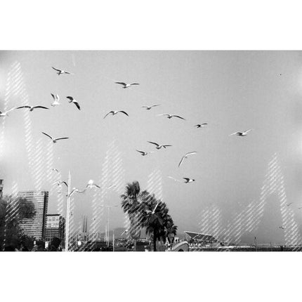 dubblefilm Glitch 200 Película Negativa B&N 35mm ISO 200 36 Exposiciones