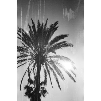 dubblefilm Glitch 200 Película Negativa B&N 35mm ISO 200 36 Exposiciones