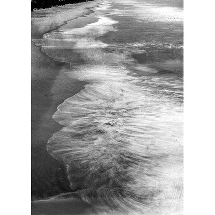 Film Photography Project Super Positive Film Blanco y Negro 35mm ISO 0.8 24 Exposiciones