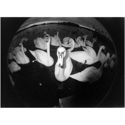 Lomography Fisheye No. 2 Cámara de 35mm 10mm f/8 Gran Angular 170° Vista Óptica