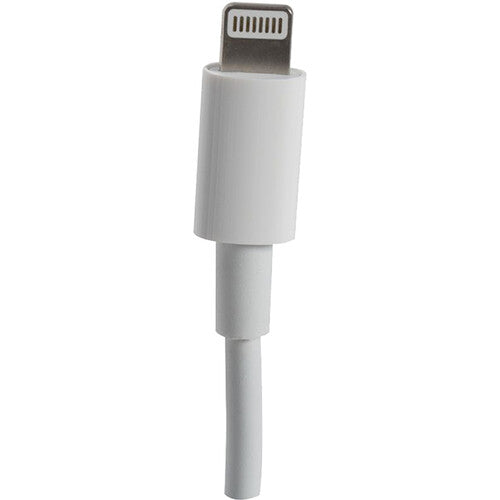 American DJ Lightning Adapter para controlador LINK con puerto USB-C y transferencia 90 MB/s