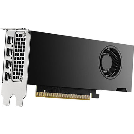 PNY NVIDIA RTX 2000 Tarjeta Gráfica 16GB ECC GDDR6 2816 Núcleos CUDA