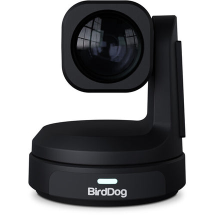 BirdDog MAX UHD 4K Cámara PTZ para Producción 12x Zoom Óptico 8.29MP