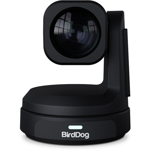 BirdDog MAX UHD 4K Cámara PTZ para Producción 12x Zoom Óptico 8.29MP