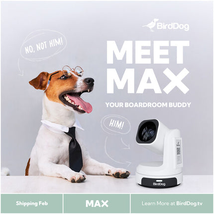 BirdDog MAX UHD 4K Cámara PTZ para Producción 12x Zoom Óptico 8.29MP
