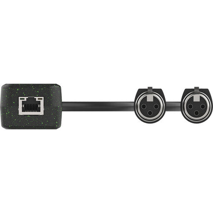 Turtle AV Adaptador de Audio Analógico 2 Canales XLR Femenino a Dante 96 kHz 24-Bit