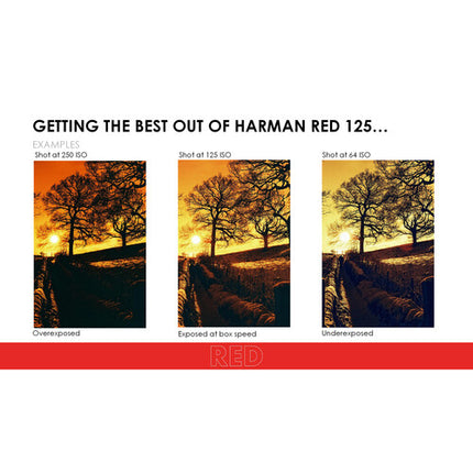 HARMAN Red 125 Película Color Negativo 35mm 36 exposiciones ISO 125