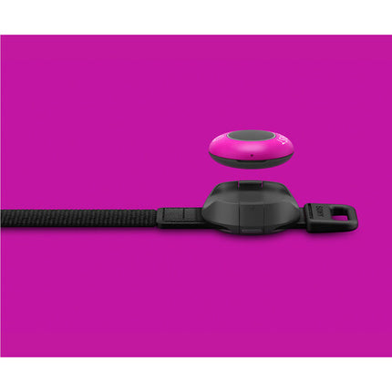 Sony mocopi Pro Kit de captura de movimiento con 12 sensores y receptor QM-PR1