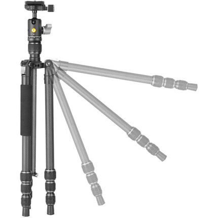 Vanguard Vesta GO 204CB Trípode de Fibra de Carbono 54.5" con Cabezal esférico VEO BH-45