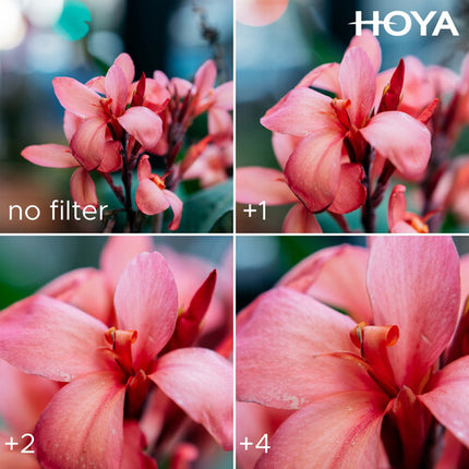 Hoya 40.5mm HMC Filtros Close-Up Set II +1 +2 +4 con Estuche
