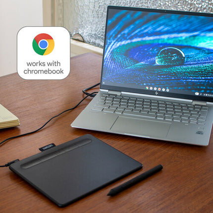 Wacom Intuos Creative Tableta Gráfica Pequeña Área Activa 6x3.7 Pulgadas 4096 Niveles de Presión