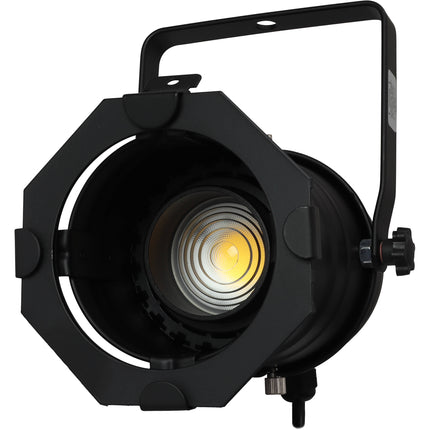 Odyssey Par 30 de Aluminio luz LED ajustable 20W 4000K con marco para gel
