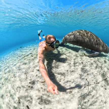 Insta360 Invisible Dive Case para X5 Estuche Sumergible 60m Adapter 1/4-20