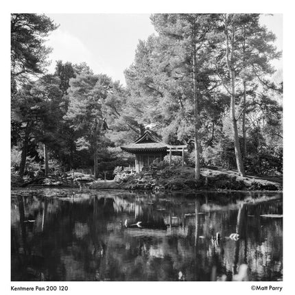 Kentmere PAN 200 Película negativa blanco y negro 120 ISO 200 grano fino