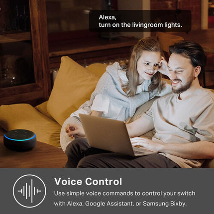 TP-Link HS220 Interruptor Inteligente Wi-Fi con Regulador Negro 2.4GHz