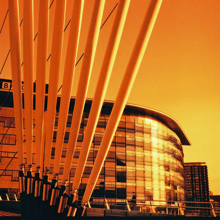 HARMAN technology Red 125 Película Color Negativo 120 ISO 125 Roll Film