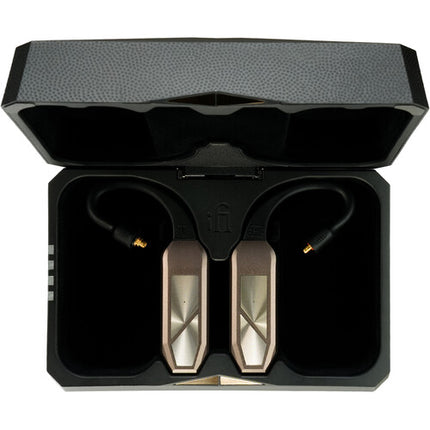 iFi audio GO pod Max Adaptador Bluetooth True Wireless para Auriculares In-Ear 32-Bit 96 kHz Caja de Carga 35 h Batería