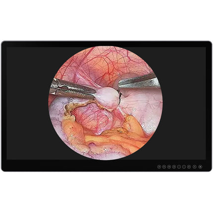 Lilliput Aimedik MD31 Monitor Quirúrgico UHD 4K 31.5" HDR 10-Bit DICOM